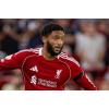 Joe Gomez linked with surprise move to AC Milan 