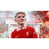 Alan Shearer slams and#8216;stupidand#8217; Anthony Gordon after red card as Liverpool break Newcastle hearts in Premier League thriller 