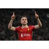 Theo Walcott issues bold warning to Arne Slot about ‘problem player’ at Liverpool 
